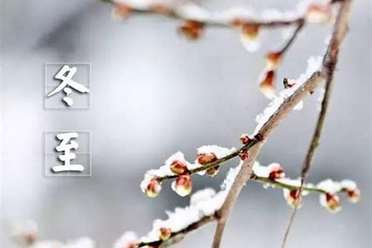 冬至每年都是同一天吗 冬至是白天长还是晚上长