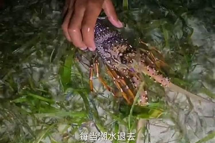 梦见死去的人又活了是什么意思？