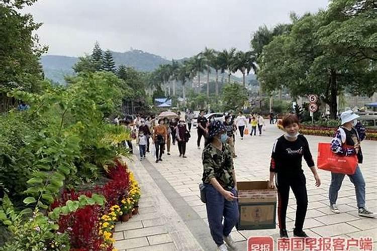 属蛇人8月运势,八月份属蛇人的运势