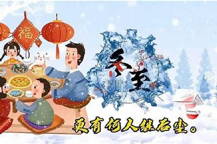 猪的今年多少岁数