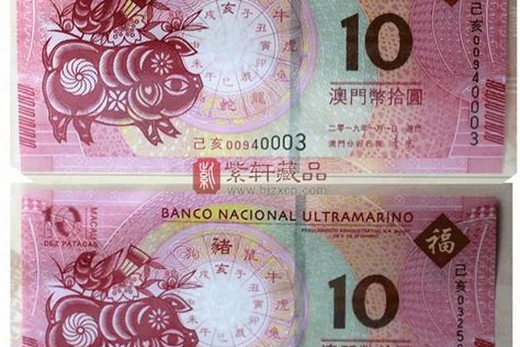 属猪今年运势2026年运势如何呢