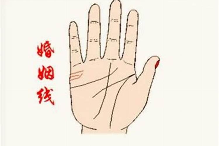 1963属兔2024年的运势及运程如何