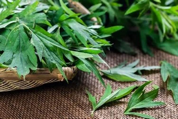 端午节快到了,门上怎样挂艾蒿,艾蒿是挂在院子的大门上,还是屋门上,分...