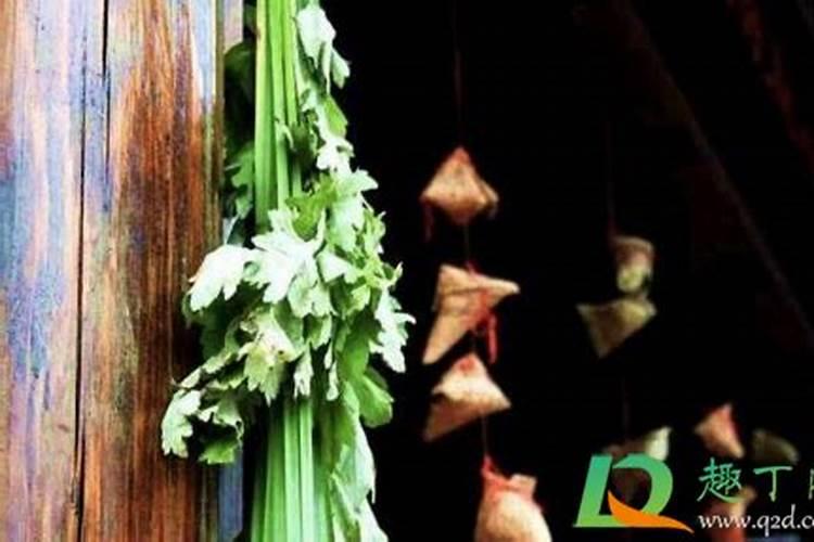 五月节艾蒿怎么挂