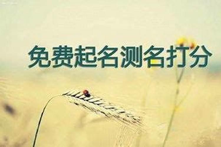 请大师帮我看看我的五行里缺些什么？该怎么改名字