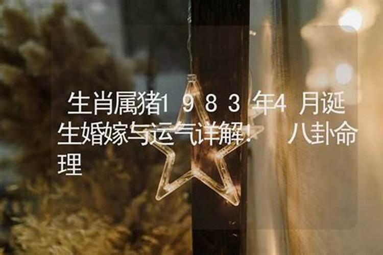 1983年属猪女2024年运势及每月运势
