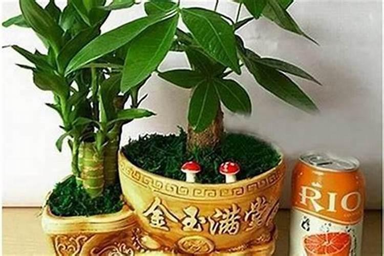风水对事业发展有什么好的影响吗？