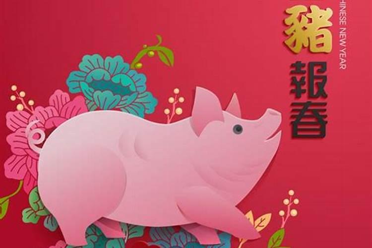 生肖猪2025年运势 属猪2025年运势及运程