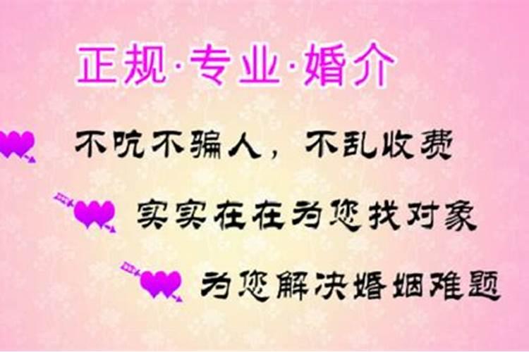 春节文化的收获和感悟
