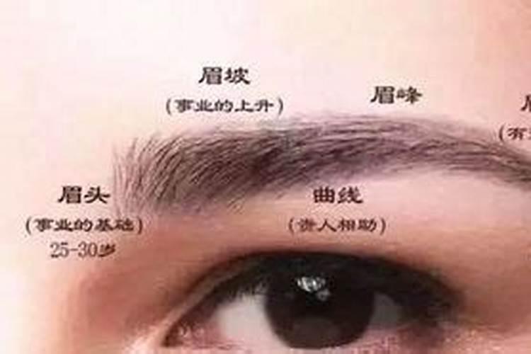 女人天生眉毛稀少代表财运不好吗