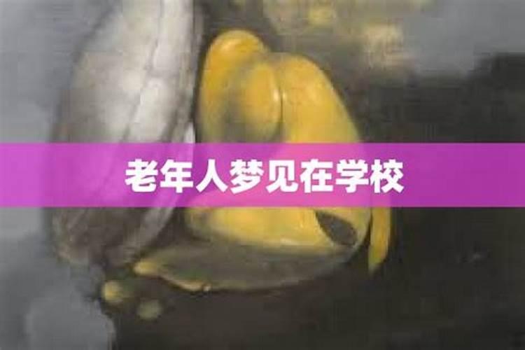 梦见没人理