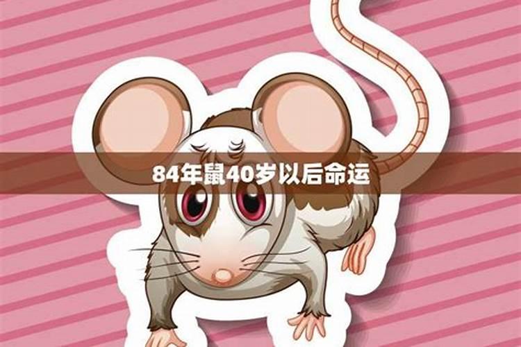 73年牛人逢鼠年怎么样在2020年的命运如何