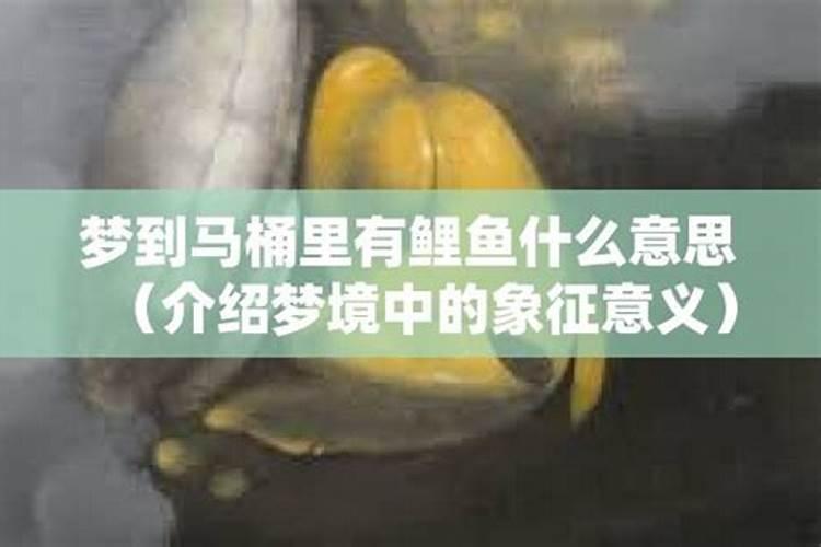 会离婚的姓名笔画 姓名笔画数的吉凶详细？