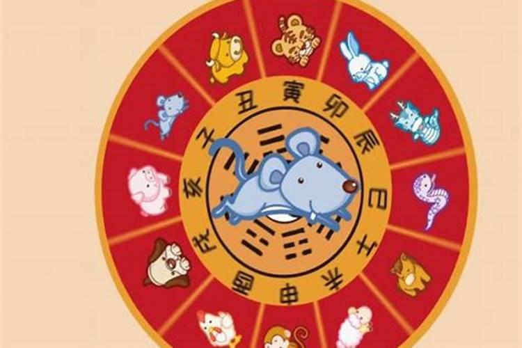 明年是什么年