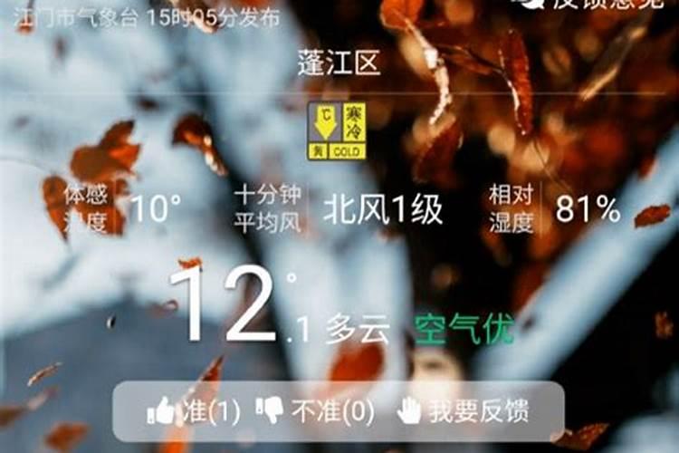 冬至日时我们江门处于什么季节？