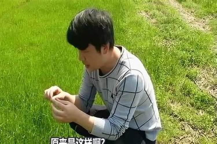 小年是农历哪一天