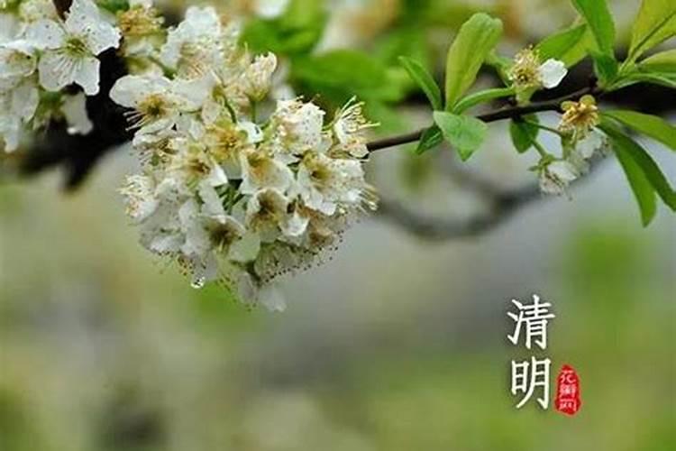 八字眉怎么修