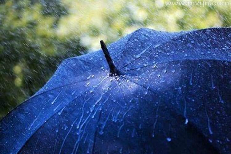 梦见下雨打雨伞的预兆