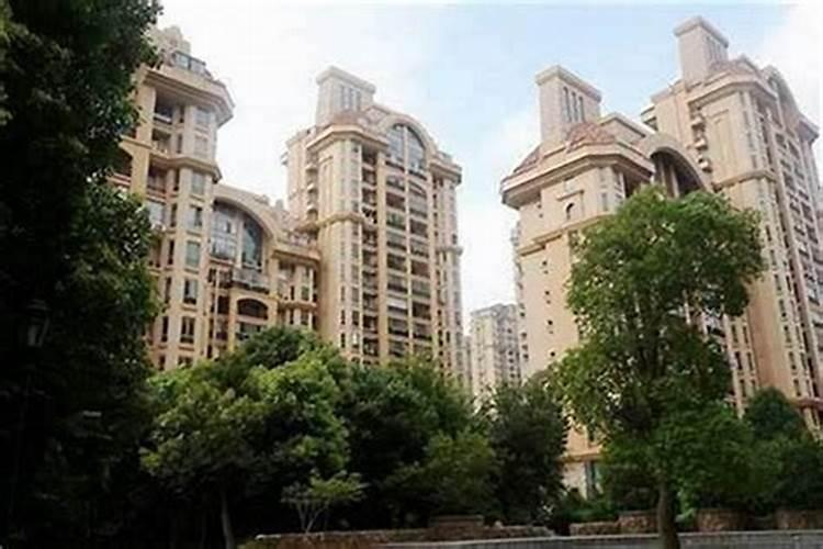 梦见前夫来找我是什么意思