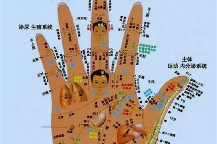 生命线是哪一条