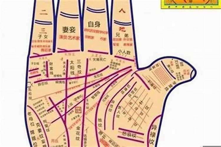 72年属鼠女2025年的运程和每月运势
