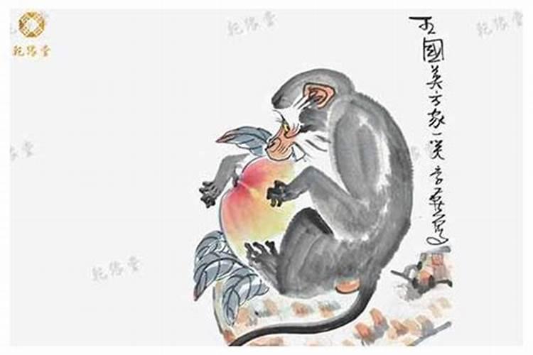 生肖猴大年财神方向 属猴人的财神方位介绍