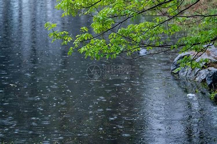 清明时节雨纷纷描写的是哪里