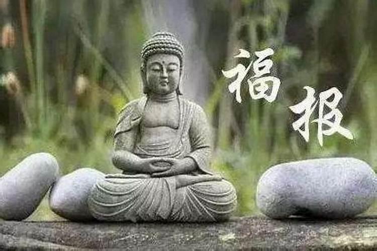 虎人遇龙年2024运势如何