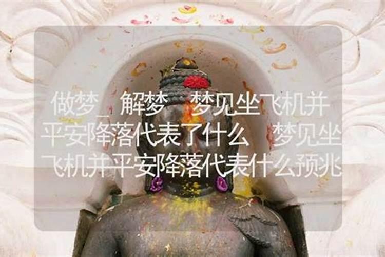 梦见坐飞机中途降落的预兆