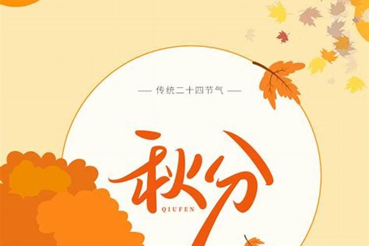 端午节可以干什么事情