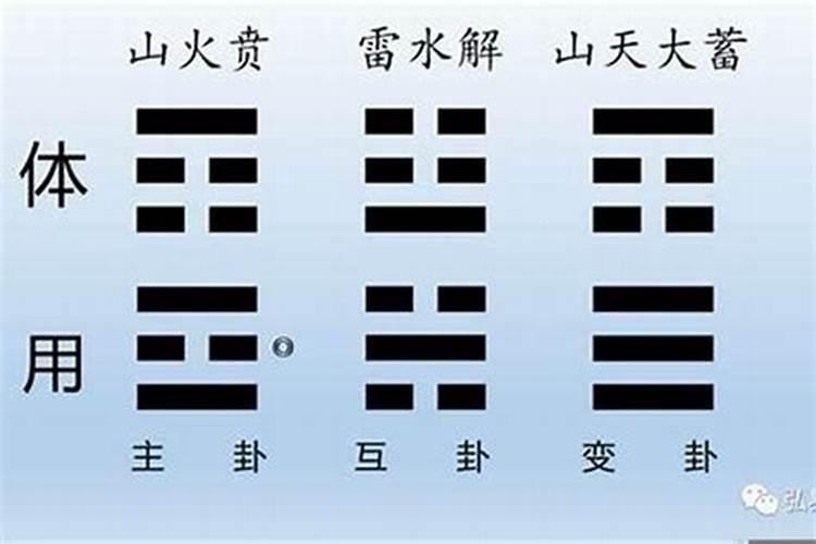 属鸡的人在婚姻中最忌讳的婚配对象有哪些