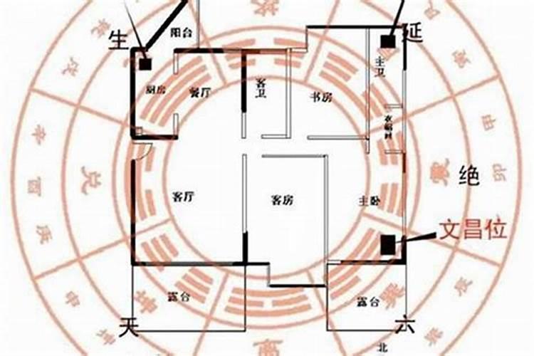 农历83年12月19是什么命缺什么