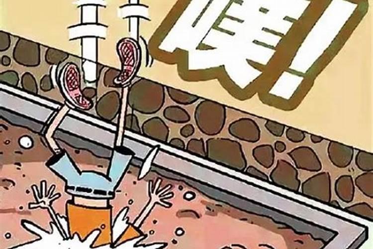 梦见姐姐掉进厕所里