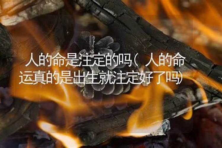 属相大忌婚配口诀 夫妻最不合的属相