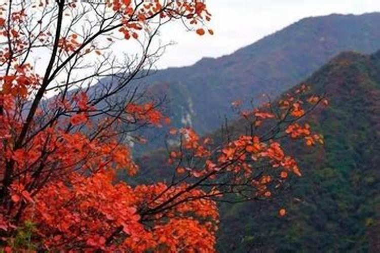 重阳节是祭祖的日子吗