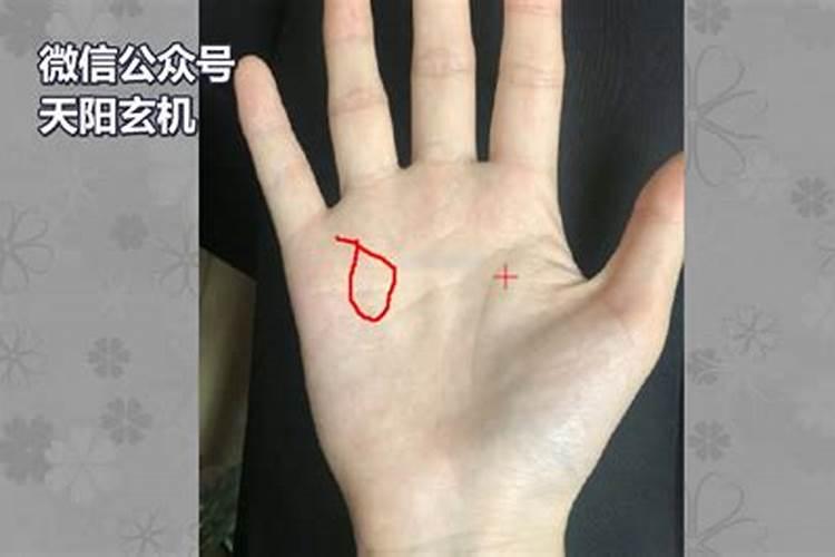 想为店里请个开光文昌塔,不知道深圳这边开光哪里比较好？