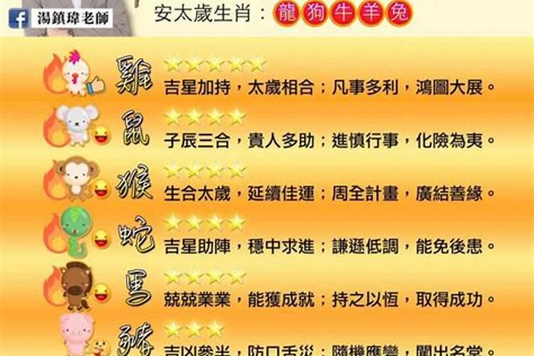 2025年5月13日出生是什么生肖