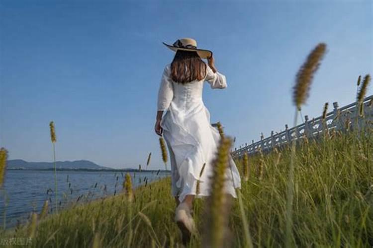2025年属什么生肖2025年感情运