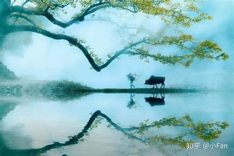 梦见红色