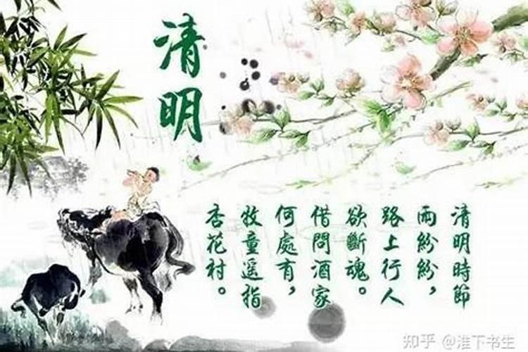 梦见山上发大水还有大乌龟的预兆