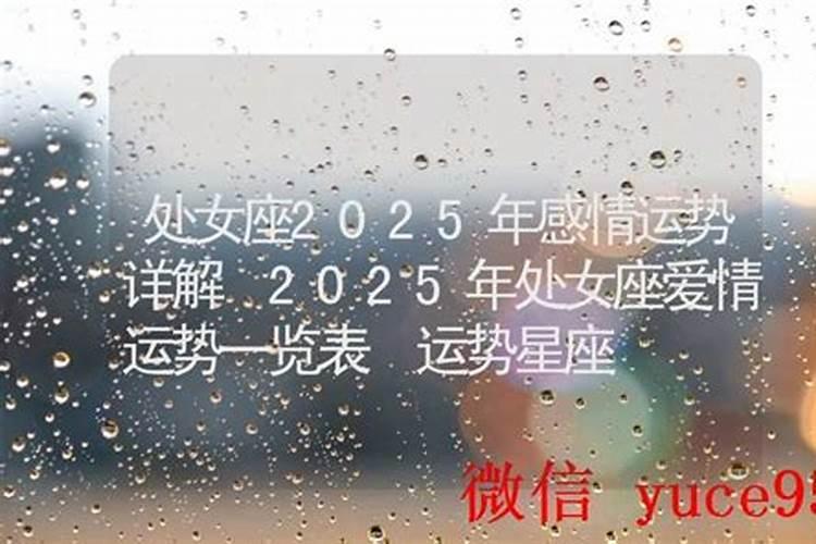 生肖猪1995年2025年运势如何 生肖猪1995年2025年全年运势
