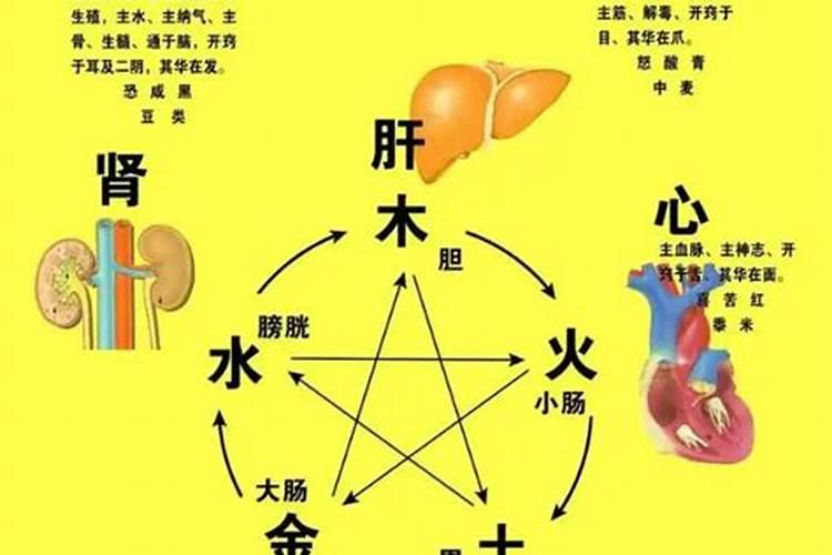 梦见胳膊被刀割流血
