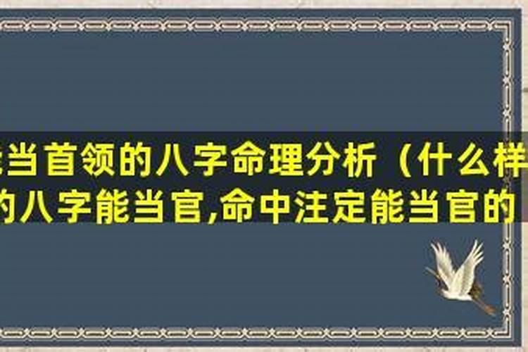 什么样的八字有官运,怎样看生辰八字是否有官运