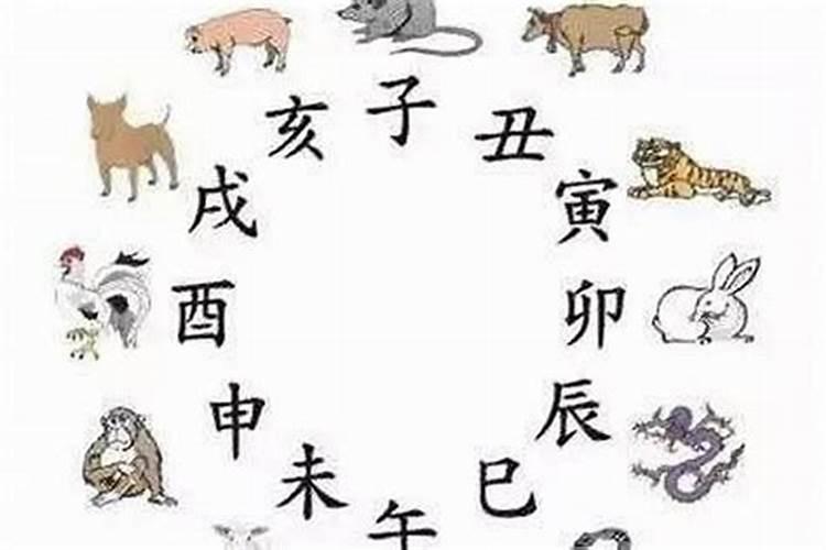 正月初一什么生肖