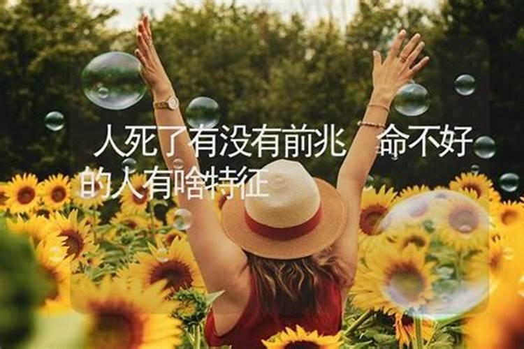 天生能做大人物的生肖女 事业心强地位高？