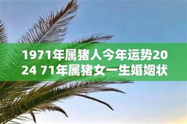 71年属猪后半生婚姻
