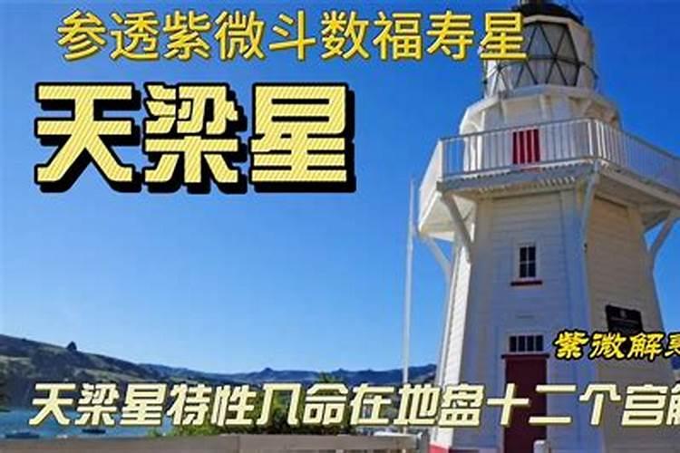 天梁星坐守十二宫——官禄宫