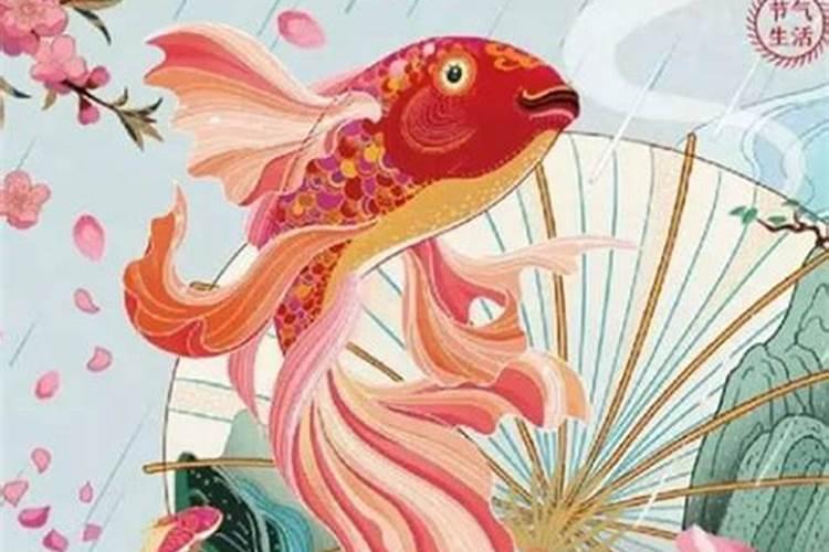 2019猪年2月19日出生女宝宝起名