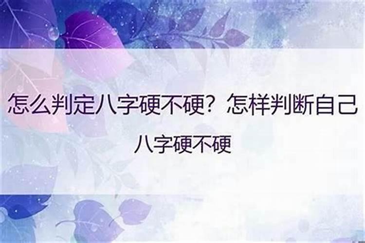 本命年的人财运怎么样
