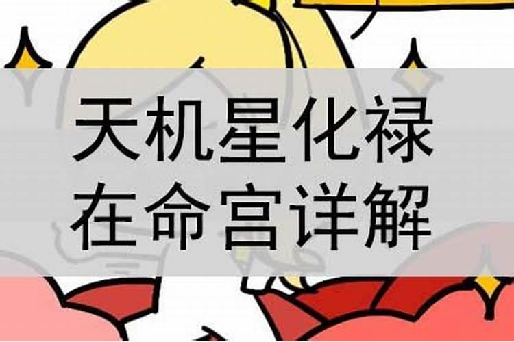 紫微斗数算运程